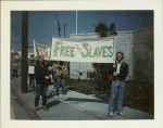 "Free the Slaves" protesters