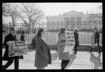 [Anti-Vietnam war protest and demonstration in front of the White House in support of singer Eartha Kitt]