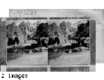 Seal and sea Fowl in their Icy Home at Hagenbeck's Animal Show, St. Louis World's Fair