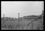 Barbed wire-surrounded barracks for Florida Negro migrants working at Webster Canning Company, Cheriton, Virginia
