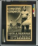 Companys camperols, tots a sembrar ...