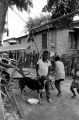 Children and dog in a yard in Newtown, a neighborhood in Montgomery, Alabama.