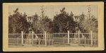 Rev. Mr. French's residence, Beaufort, S.C.