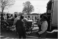 Mule Train Protest March, circa 1972