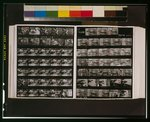 [Two contact sheets showing young adults and children reading and listening to music in a library, and African American children playing around street sign at the corner of Cowell and Pride streets, Pittsburgh, Pennsylvania]