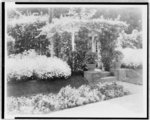 [Small arbor covered with roses, with daisies and pansies on banks, on estate of Mrs. Walter C. McKeon, Pasadena, California]