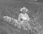 Cotton picking: Joe Nelson of Stanton, Tenn.