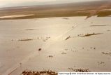 Delta flood 1983