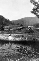 An unidentified girl standing in a stream