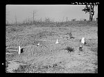 [Untitled photo, possibly related to: Negroes' graveyard. Macon County, Alabama]