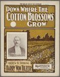 Thumbnail for Down where the cotton blossoms grow