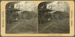 A Typical Negro Cabin, Louisiana