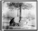 [Old African-American man selling strawberries on street, Washington, D.C. - two small boys, one White and one African-American, are looking at the strawberries]