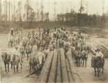 Sawdust Empire Workers