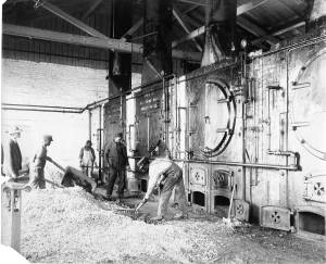 Boiler Room - Heating Plant