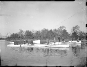 Reverend Green's church group : [acetate film photonegative]