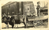 African-American Man in Ox Cart