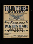 Volunteers Wanted! Poster
