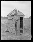 Privy of Negro sharecropper near Marshall, Texas