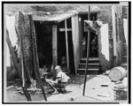 Negro backyard near Capitol, Washington, D.C. Negro children have just discovered the cameraman and are concerned at his presence