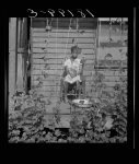 Butter bean vines across the porch. Negro quarter in Memphis, Tennessee