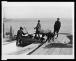 [Annapolis, Md., 1936, unloading Chesapeake Bay oysters from a 'tonger', preparatory to laying up the boat for the weekend]