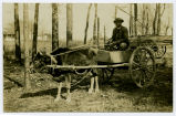 African American in an Ox Cart