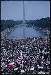 [View from the steps of the Lincoln Memorial of crowds of people, some with American flags, during the1963 March on Washington for Jobs and Freedom]