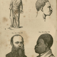 Thumbnail for Frontispiece of Negroes and Negro slavery : the first an inferior race: the latter its normal condition by J. H. Van Evrie.