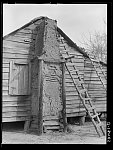 Negro home with mud chimney. South Carolina