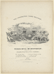 The celebrated negro melodies as sung by the Virginia Minstrels, adapted for the piano forte by Thos. Comer