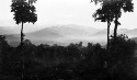 View from window Blue Ridge Lodge