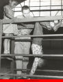 Children on gymnastic equipment