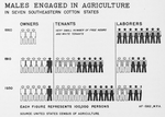 Males engaged in agriculture in seven southeastern cotton states