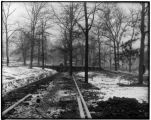 Construction of the United States bird exhibit