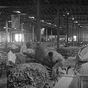 Loading tobacco bundles