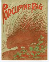 Porcupine rag