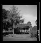 [Untitled photo, possibly related to: Negro's home near Beaufort, South Carolina]