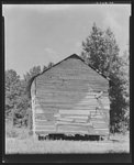 Negro cabin. Hale County, Alabama