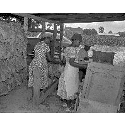 Curing tobacco