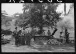 A portable cane mill. The owner gets every sixth gallon for making the sorghum syrup. This is on the property of a Negro owner, Wess Cris, a tobacco farm of about 165 acres in a prosperous Negro settlement near Carr, Orange County, North Carolina. They are straining it into a barrel, measured by a gallon can