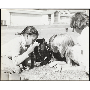 Five Roxbury Boys & Girls Club members sit and lie on their stomachs on the grass