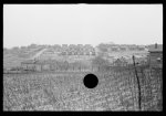 [Untitled photo, possibly related to: Negro houses, Winston-Salem, North Carolina]