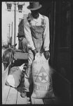 Negro farmer hauling fertilizer onto his truck, San Augustine, Texas