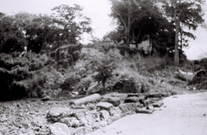 Field Work in Bunce Island, Sierra Leone: The Island Shore at the bottom of the British Slave Castle