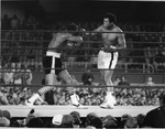 Thumbnail for Ken Norton vs. Muhammad Ali, New York, 1976