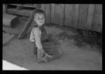 Son of Negro sharecropper, Lee County, Mississippi