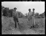 A Mississippi Negro family who live on a cotton patch near Vicksburg