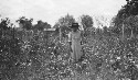 Gardens. House. Negro girls. Under direction of Nettie E. Dolly