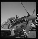 [Tuskegee airmen Marcellus G. Smith and Roscoe C. Brown, Ramitelli, Italy, March 1945]